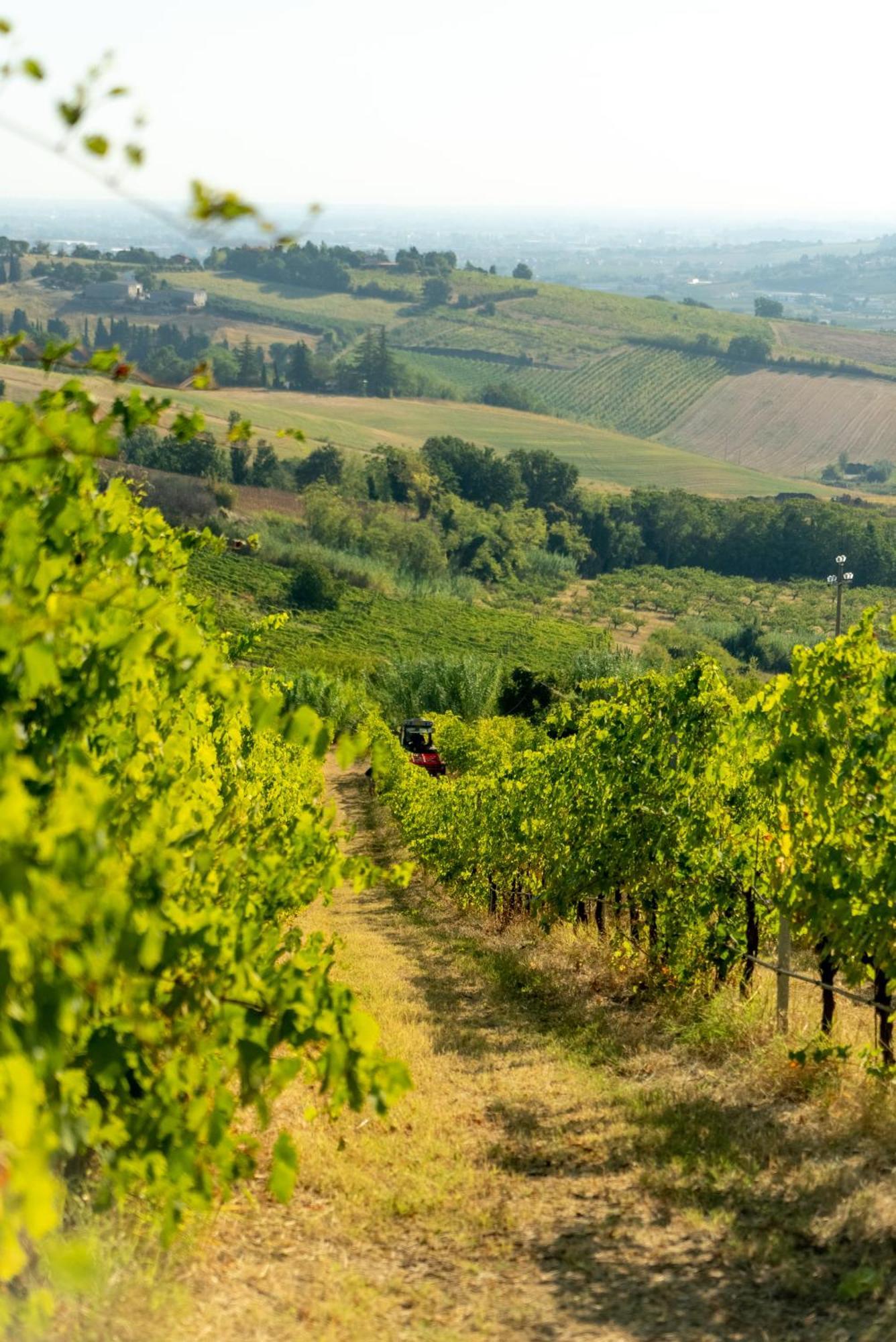 Boutique Hotel Villa Monty Banks Cesena Kültér fotó